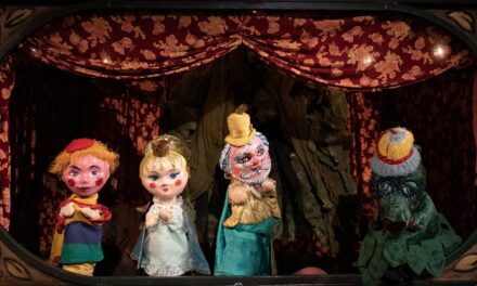 Spectacolele finalului de săptămână la Teatrul de Păpuși „Puck”