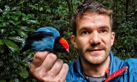 Alexandru N. Stermin lansează cartea pentru copii „Cum am devenit vrăjitor. Din caietul unui explorator”