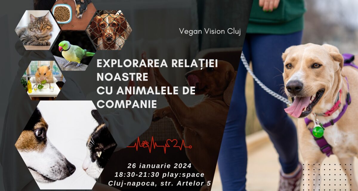 Explorarea relației oamenilor cu animalele de companie, la locația „play:space”