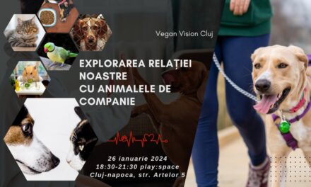 Explorarea relației oamenilor cu animalele de companie, la locația „play:space”