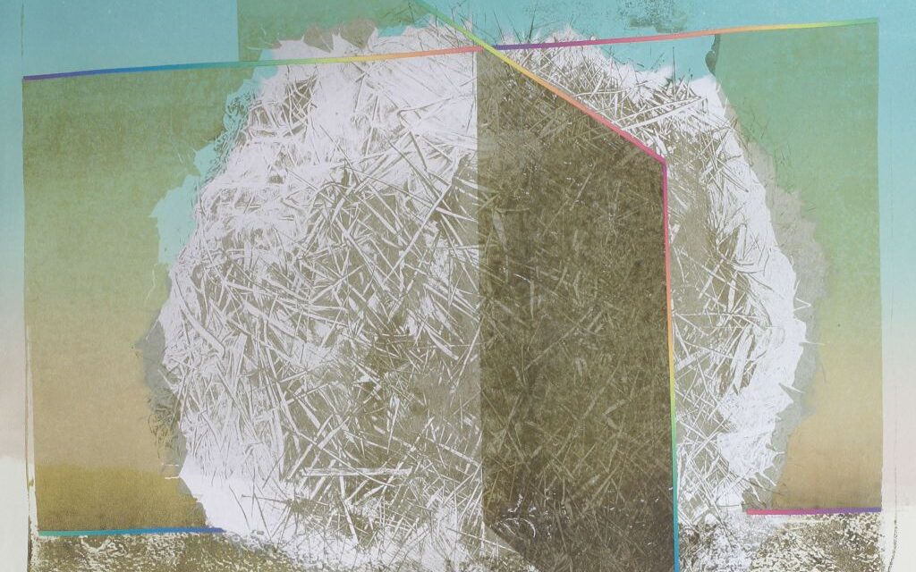 // FOTO // Aproximativ 40 de lucrări de grafică, donate de către Wanda Mihuleac Muzeului de Artă Cluj-Napoca fac subiectul expoziției „Ecologica” la sediul acestuia