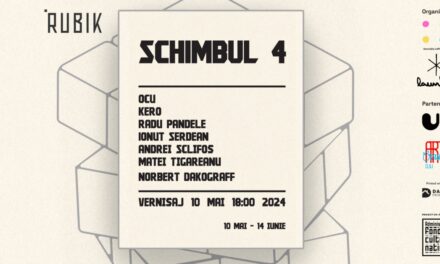 Șapte din cei mai cunoscuți artiști din România, printre care trei stradali, expun la „Rubik” expoziția „Schimbul 4”