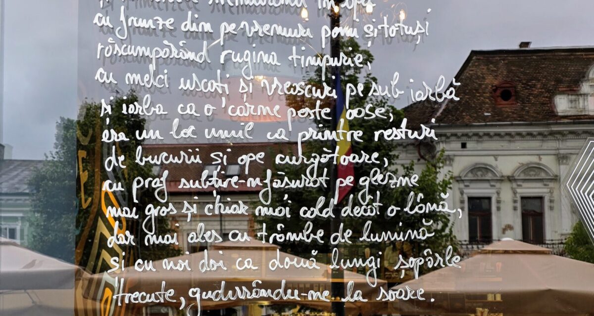 Centrul Clujului s-a umplut de poezie. Vitrinele magazinelor sunt gazda poemelor