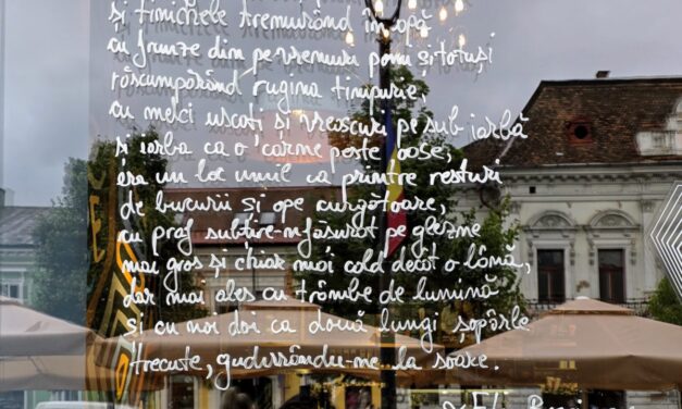 Centrul Clujului s-a umplut de poezie. Vitrinele magazinelor sunt gazda poemelor