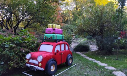 Expoziția „Small World”, deschisă de Garden of Lights în Grădina Botanică „Alexandru Borza” aduce la Cluj-Napoca personaje din basme și povești celebre