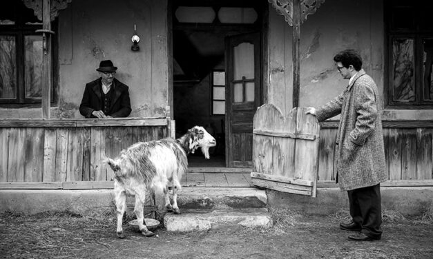 „Moromeții 3”, cel mai așteptat film românesc al anului, proiecție specială la Cluj-Napoca în prezența echipei