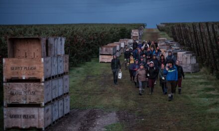 Proiectul fotografic documentar „Plecat”, care țintește migranți români în 12 țări din Europa, semnat de Cosmin Bumbuț și Elena Stancu – Expoziție de fotografie la Muzeul de Artă din Cluj