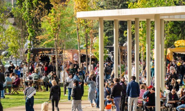 Trei zile de „daytime party” în aer liber: PICNIC ajunge în Parcul Feroviarilor din Cluj-Napoca în 24 – 26 aprilie