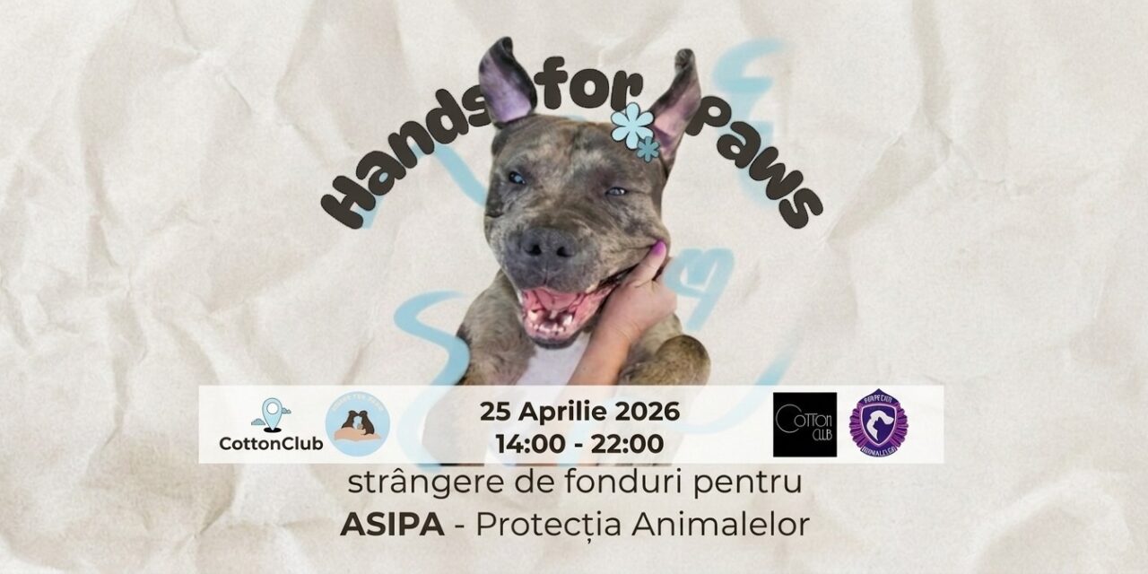 Eveniment caritabil pentru căței – „Hands for Paws” – în weekend, la Cotton Club, organizat de F.S.P.A.C. și A.S.I.P.A.