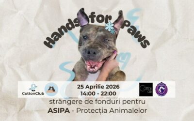 Eveniment caritabil pentru căței – „Hands for Paws” – în weekend, la Cotton Club, organizat de F.S.P.A.C. și A.S.I.P.A.