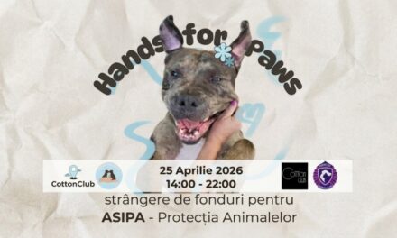 Eveniment caritabil pentru căței – „Hands for Paws” – în weekend, la Cotton Club, organizat de F.S.P.A.C. și A.S.I.P.A.