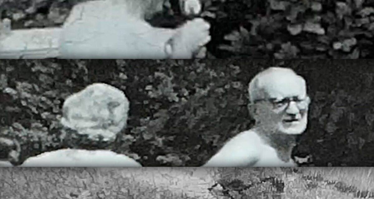 „Din intimitatea juxtapunerilor”, o expoziție de fotograme vechi, la Muzeul de Artă Cluj-Napoca. Odată cu expoziția va fi proiectat filmul „Pelicule de familie”, regizast de Dan Curean